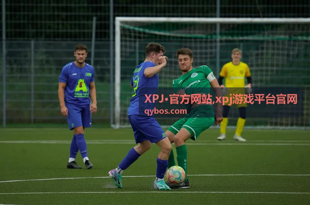 XPJ·官方网站入口说明展示图